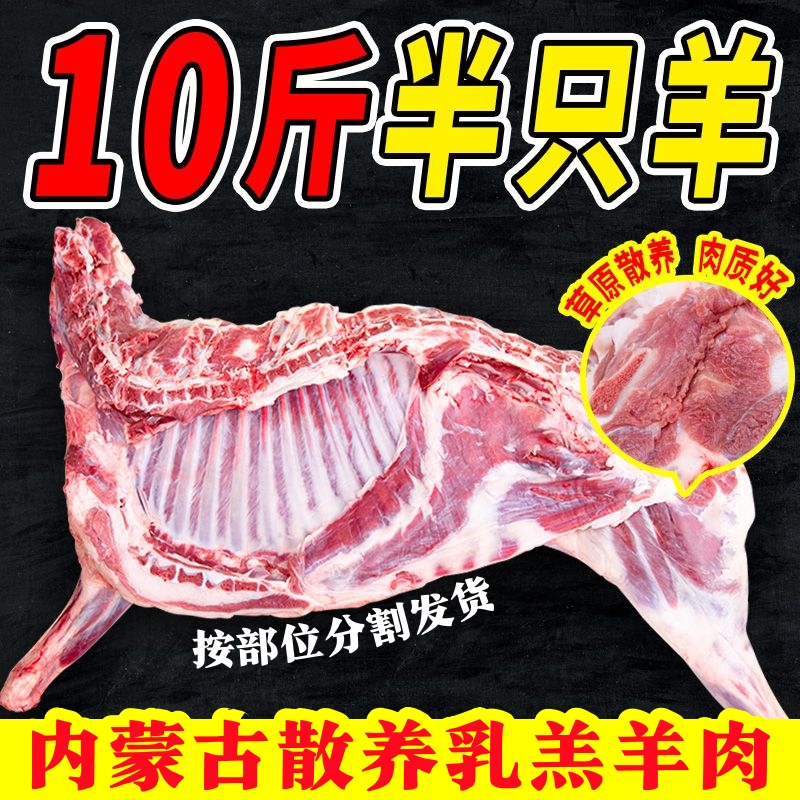 【内蒙古羔羊】10斤半只羊原切0添加包含羊前腿羊后腿羊肋排羊蝎子