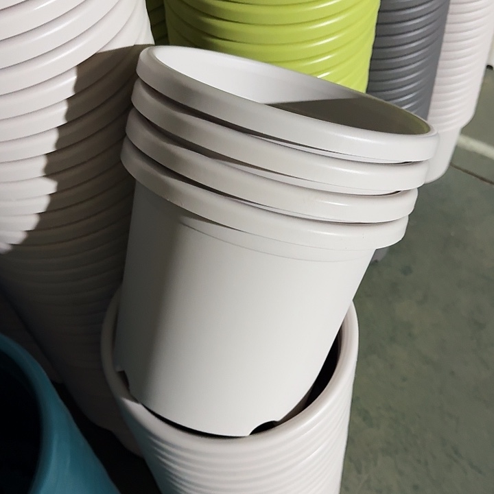 四季5#口径29灰白5个无托