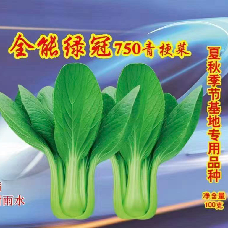 《全能绿冠750》耐热抗病青帮绿叶大叶面