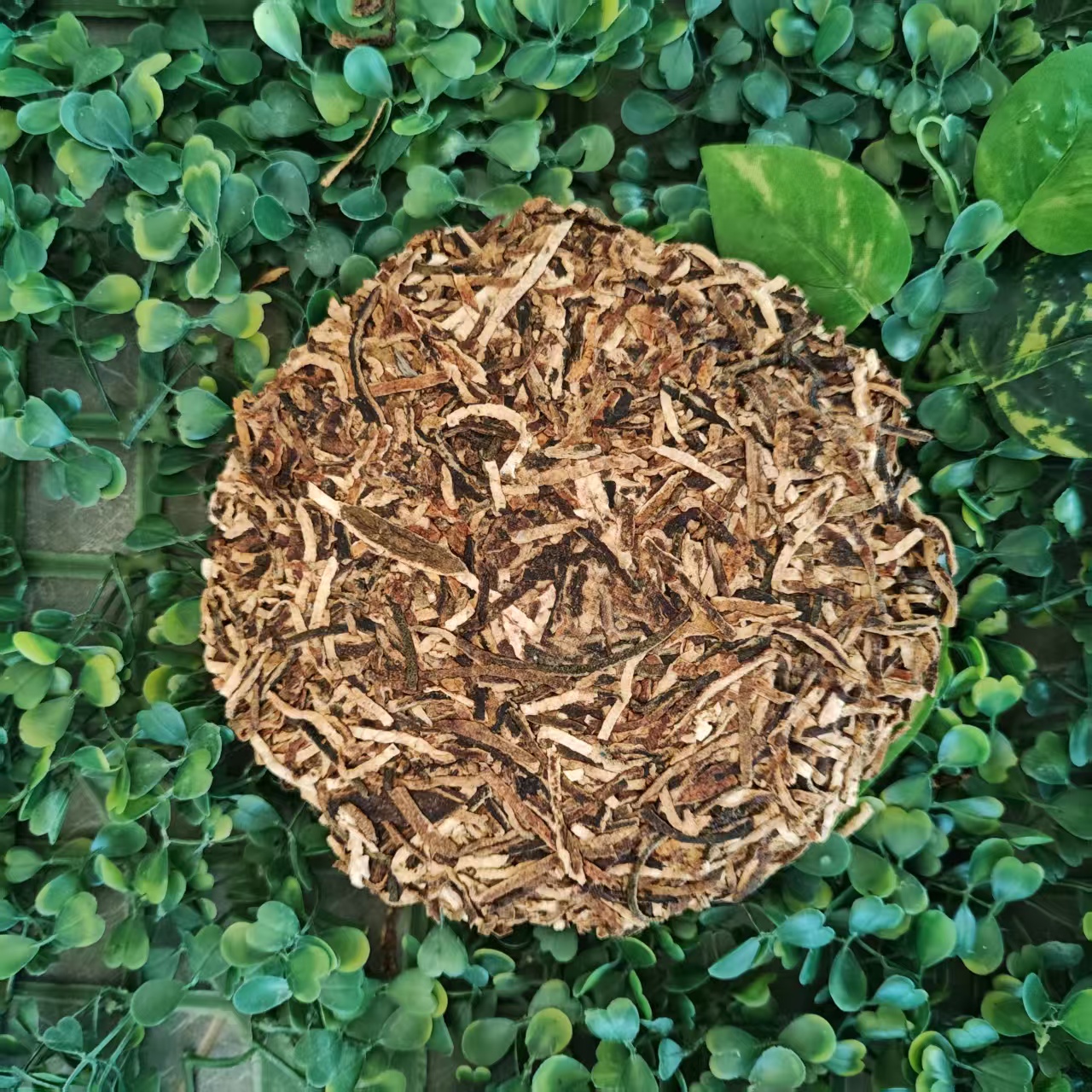 雨腾古茶西WM瑶池S晶G 万N仙RJ"万N人X黄J皮200g/饼（6月7）