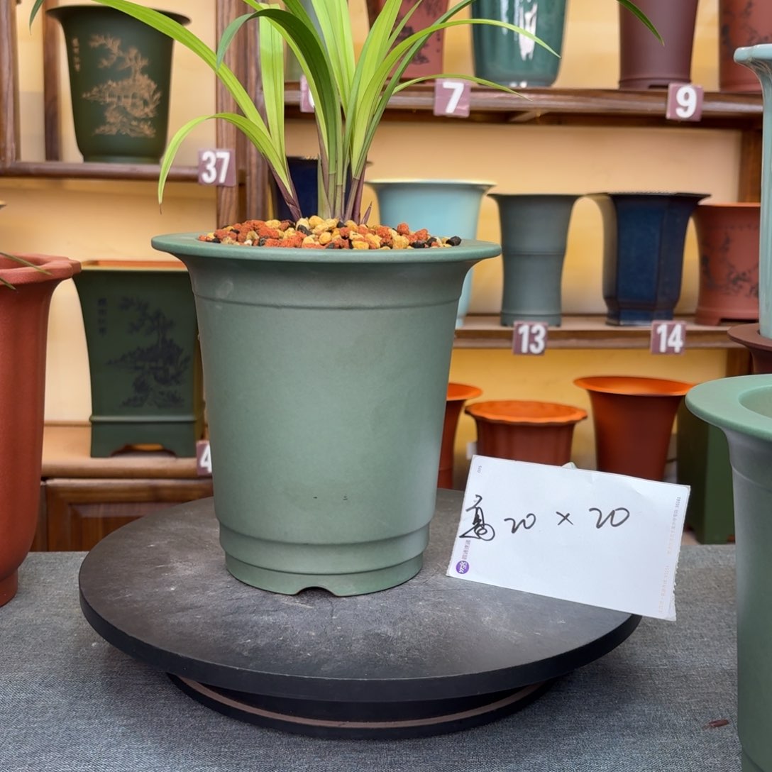 紫砂花盆54646497949