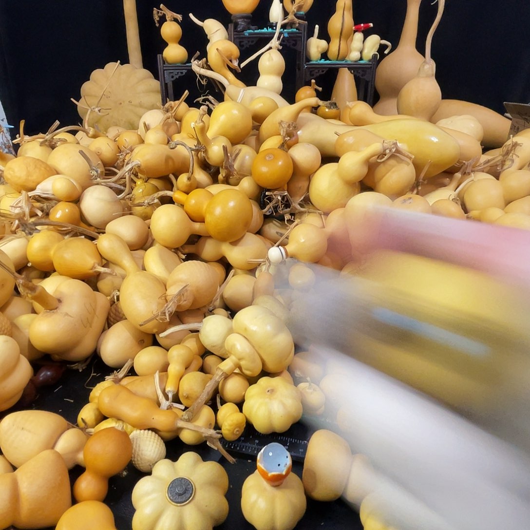 刘****5556666633333333333