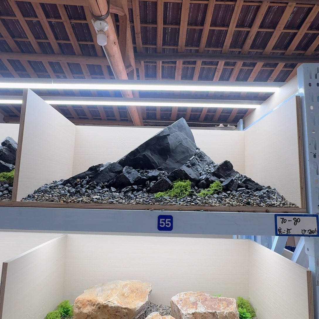 55号造景送底沙25斤1-4