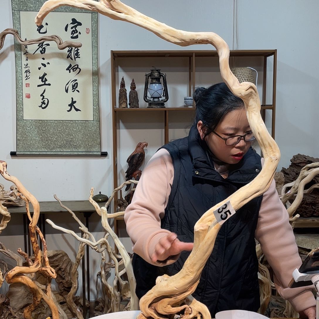 柏木仙**?杜鹃根根艺摆件