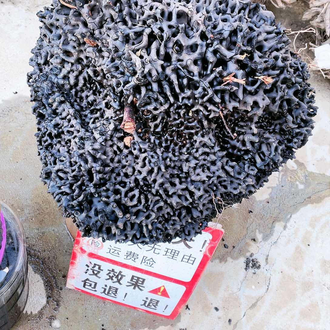 紫檀木类端景台1