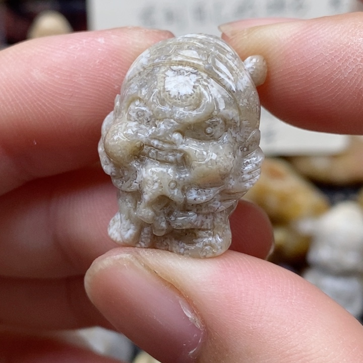 硅化珊瑚（珊瑚玉）未镶嵌颈饰小