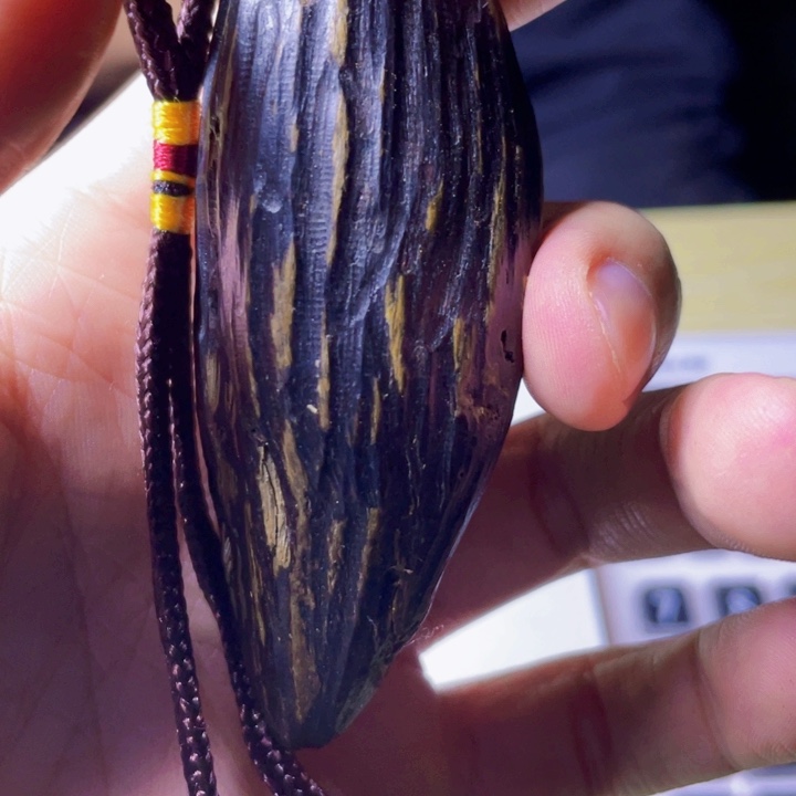 无非金属黑油虫漏