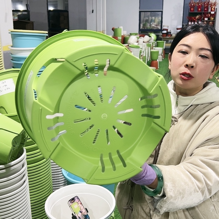 正品圆控口37.5高34.4果绿3只无托