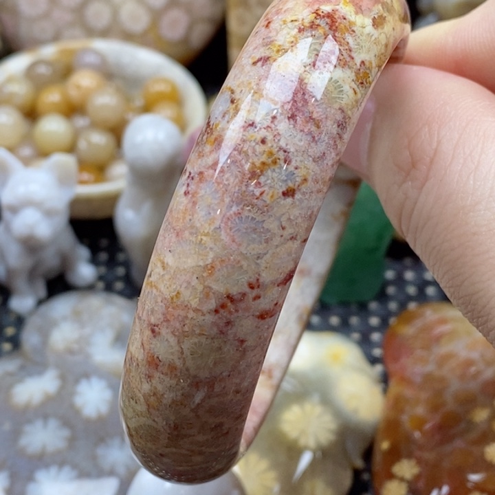 硅化珊瑚（珊瑚玉）颈饰未镶嵌56有瑕