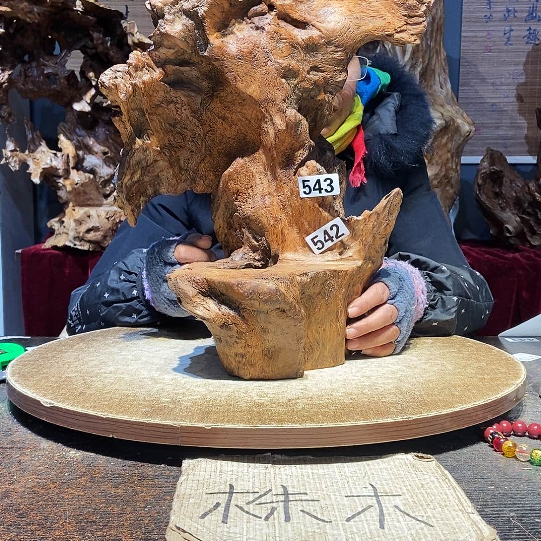 一***虫543。株木随行根艺