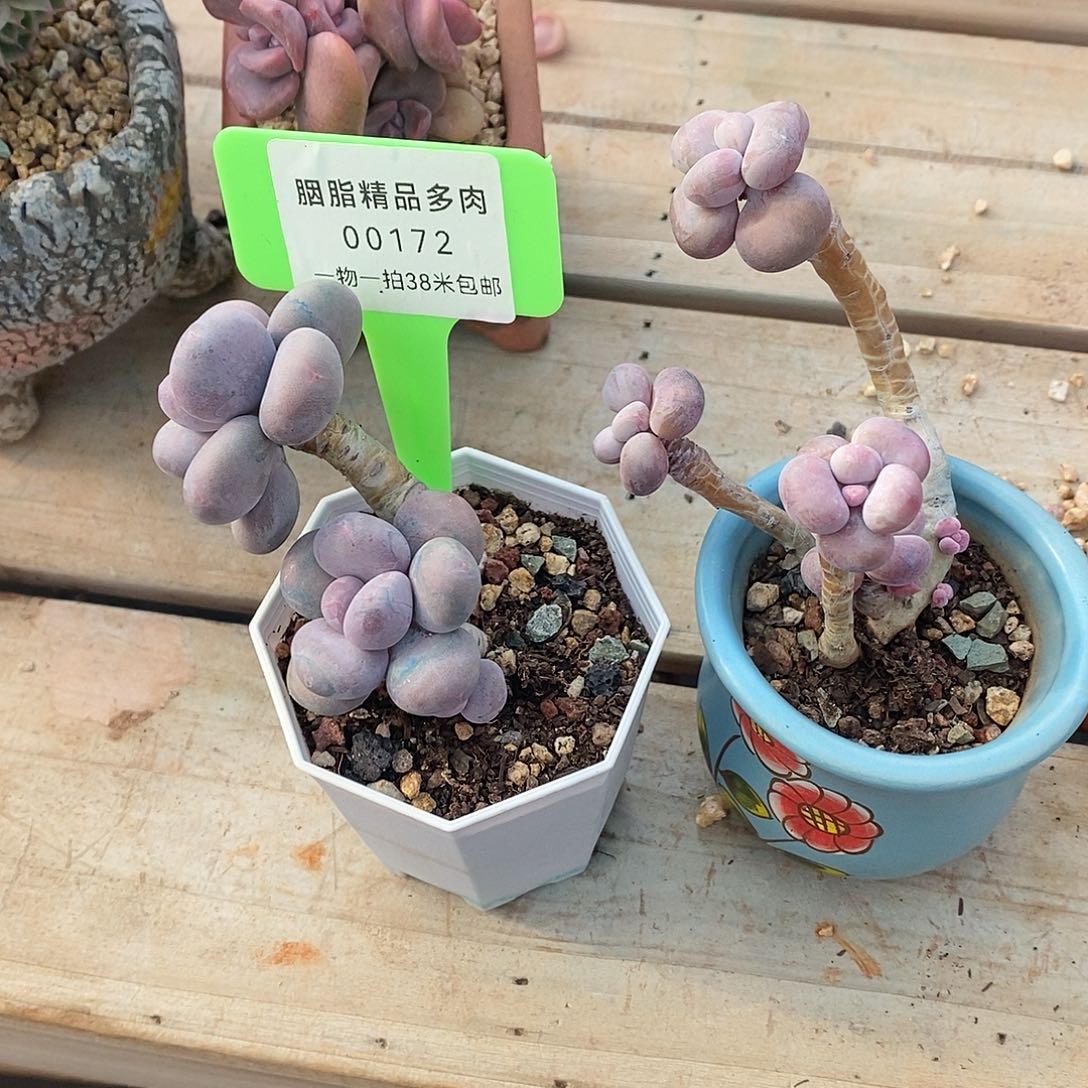 172咯KTV哦兔子装修我哦我