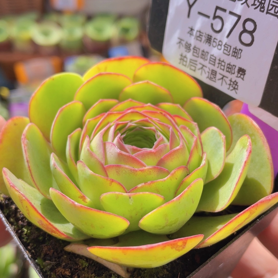 千寻578一物一拍