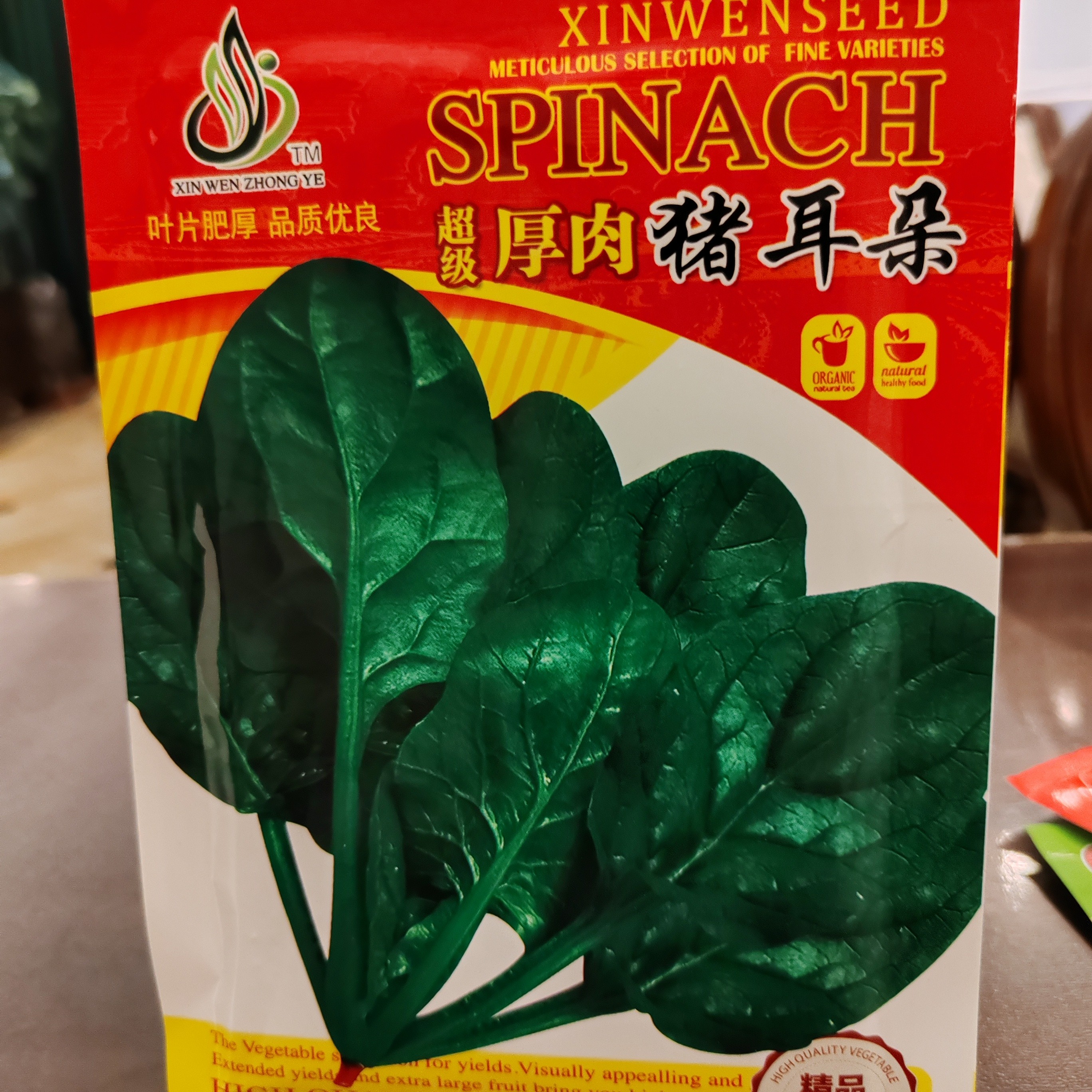 超级厚肉猪耳朵菠菜种子大叶肥厚高产耐寒抗病商品性四季种植