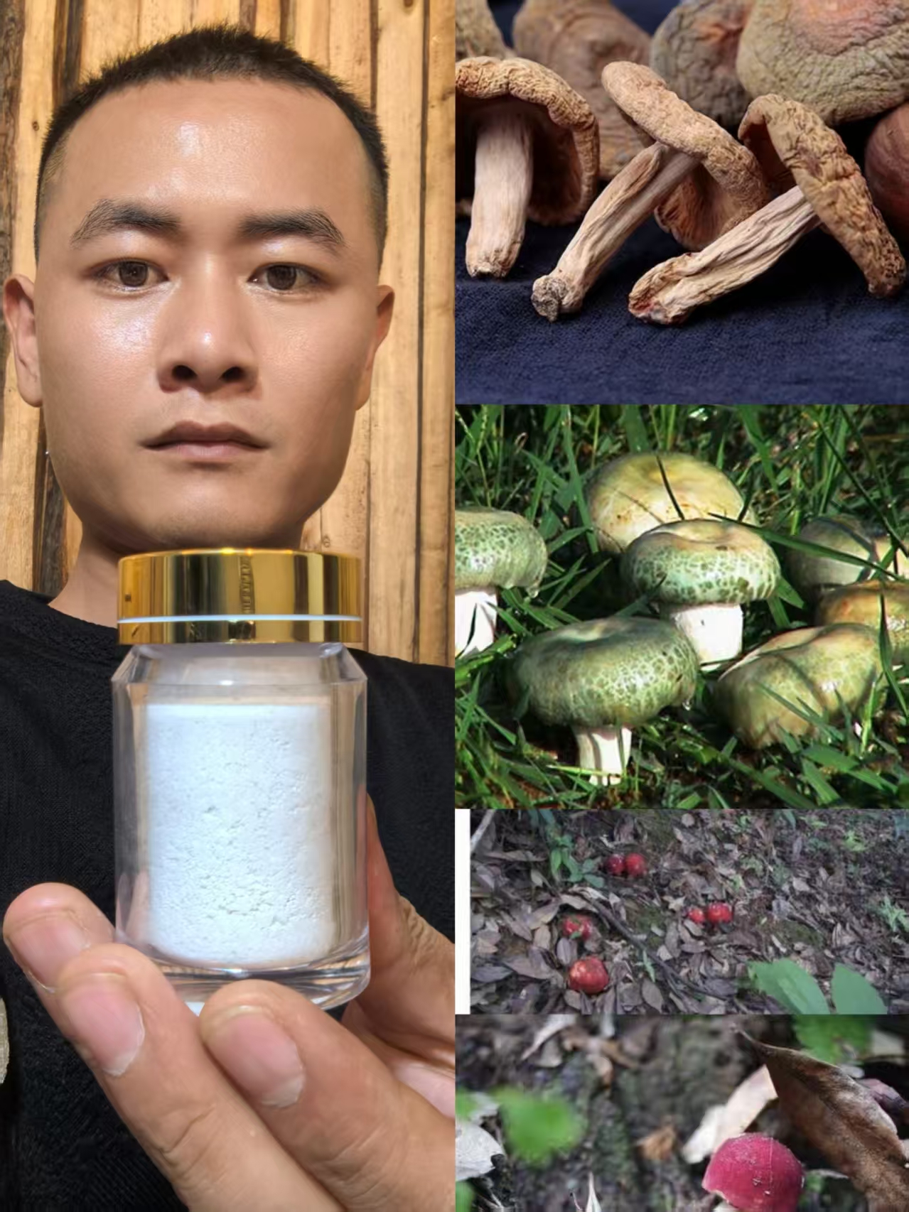 【土特产菌A6＼蘭天加杰】重量26g