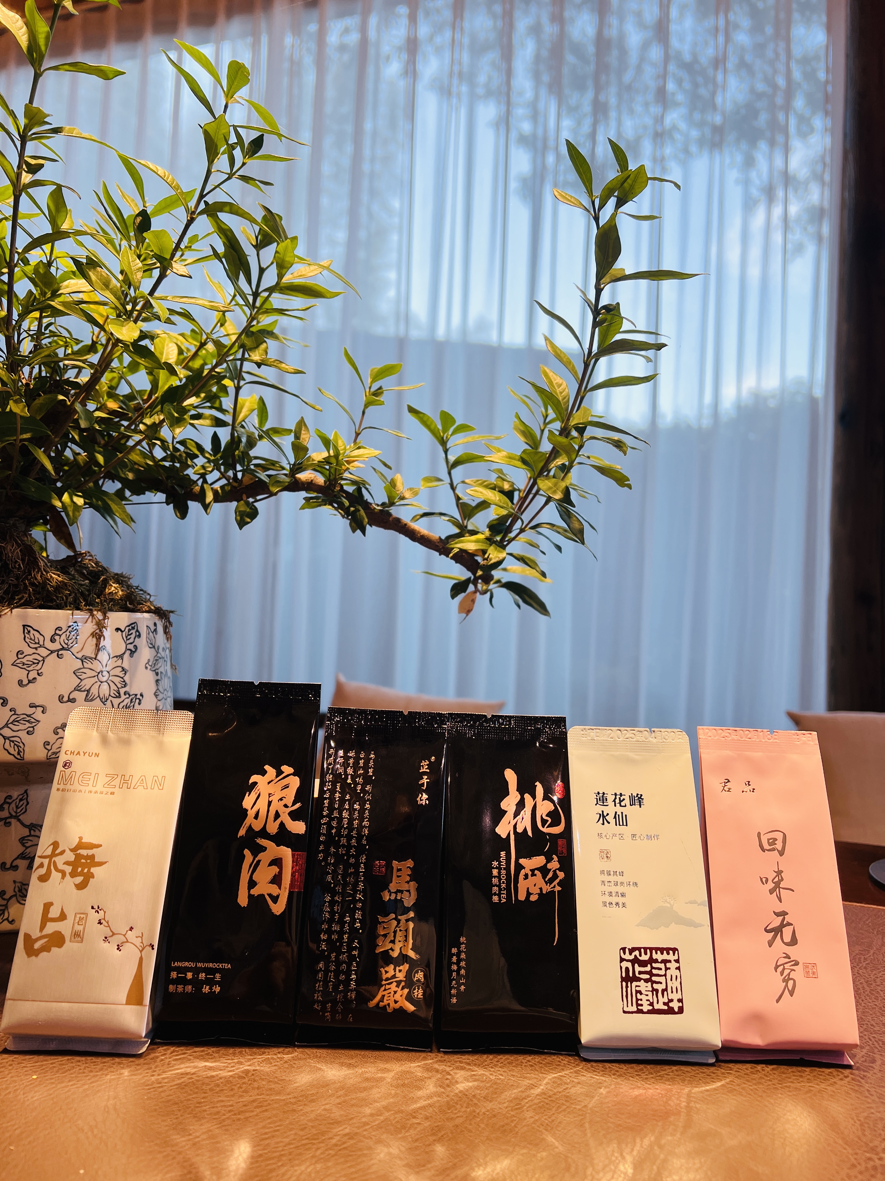 【新人品鉴】武夷岩茶传统工艺制作6泡高端品