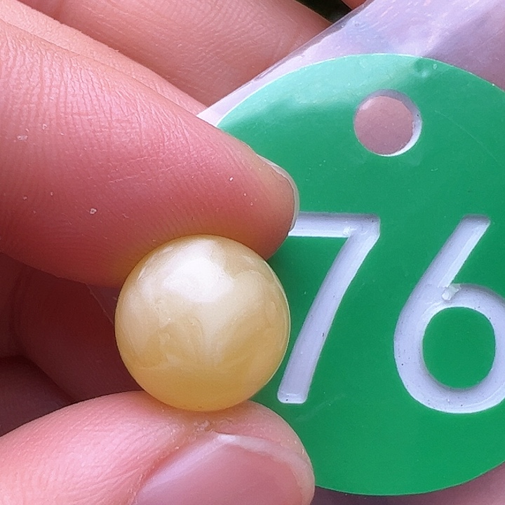 蜜蜡裸石未镶嵌花粉11.2m m