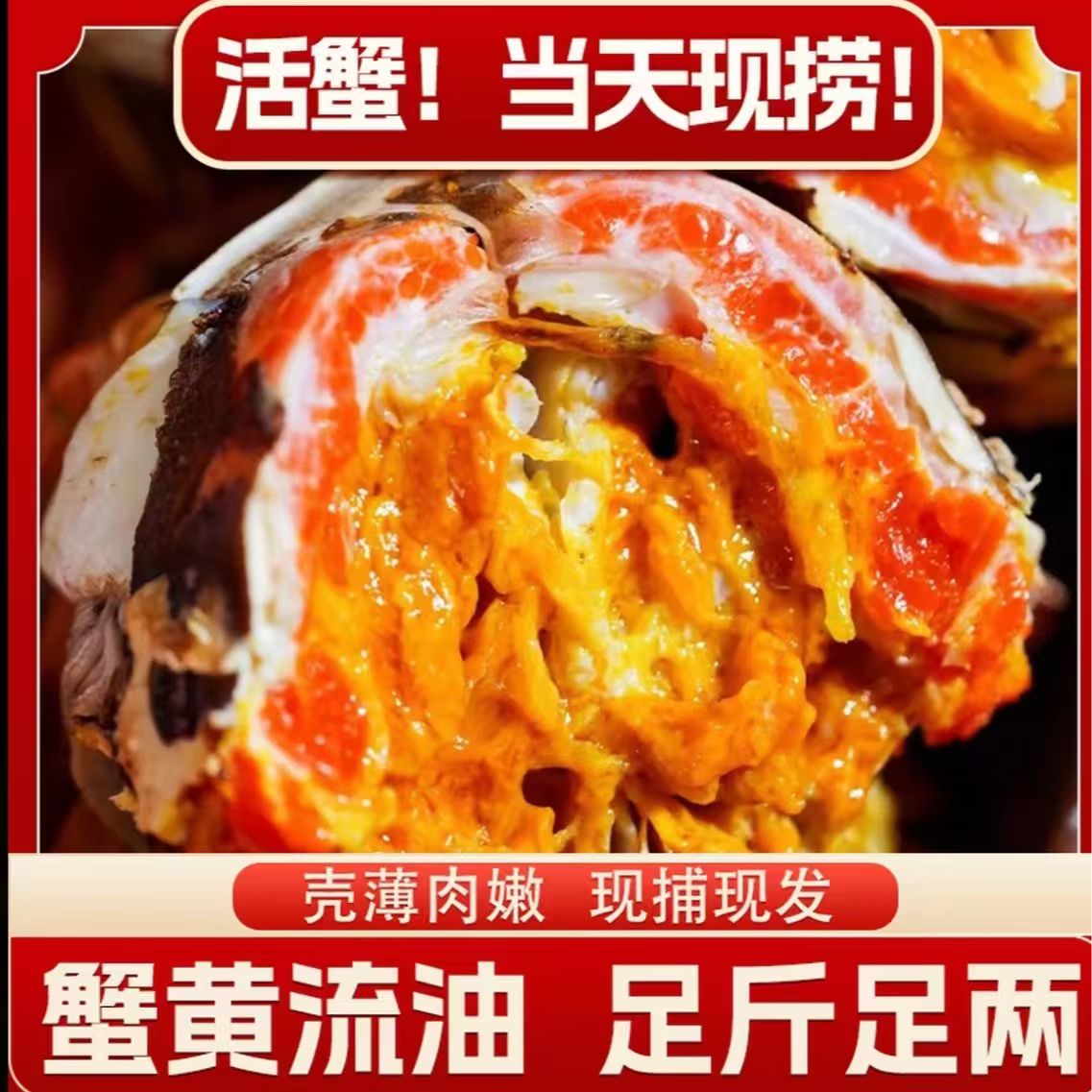 【活蟹】苏州精品大闸蟹 全母蟹4.2-3.9两 10只装 顺丰空运