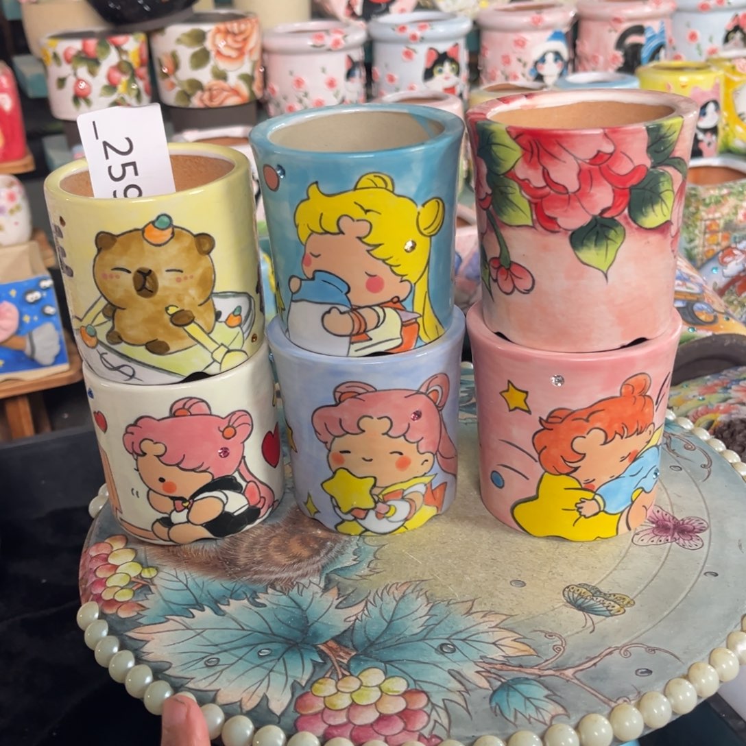 么***zr259多肉花盆5送1个