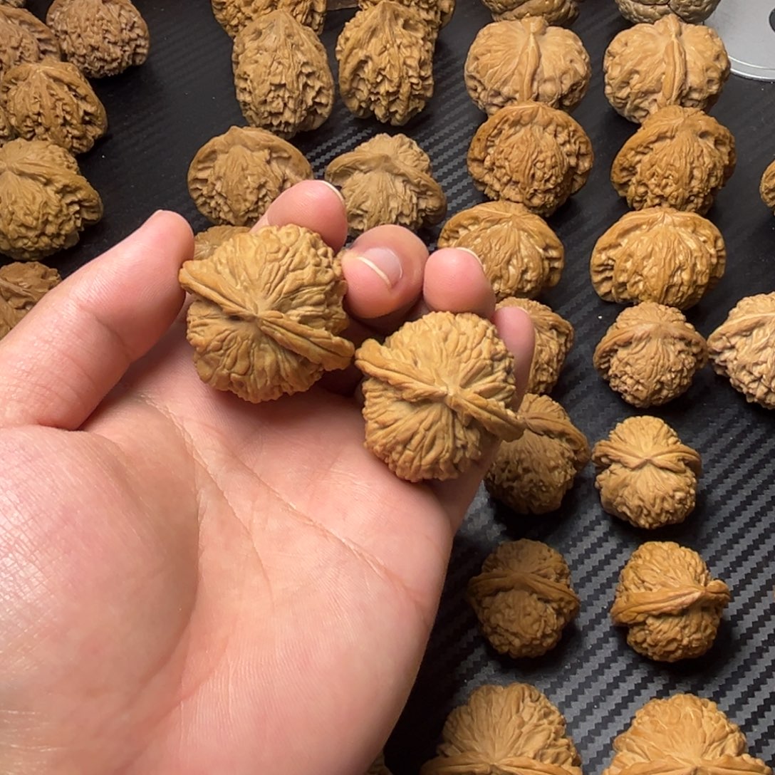 文玩核桃把件白狮子40