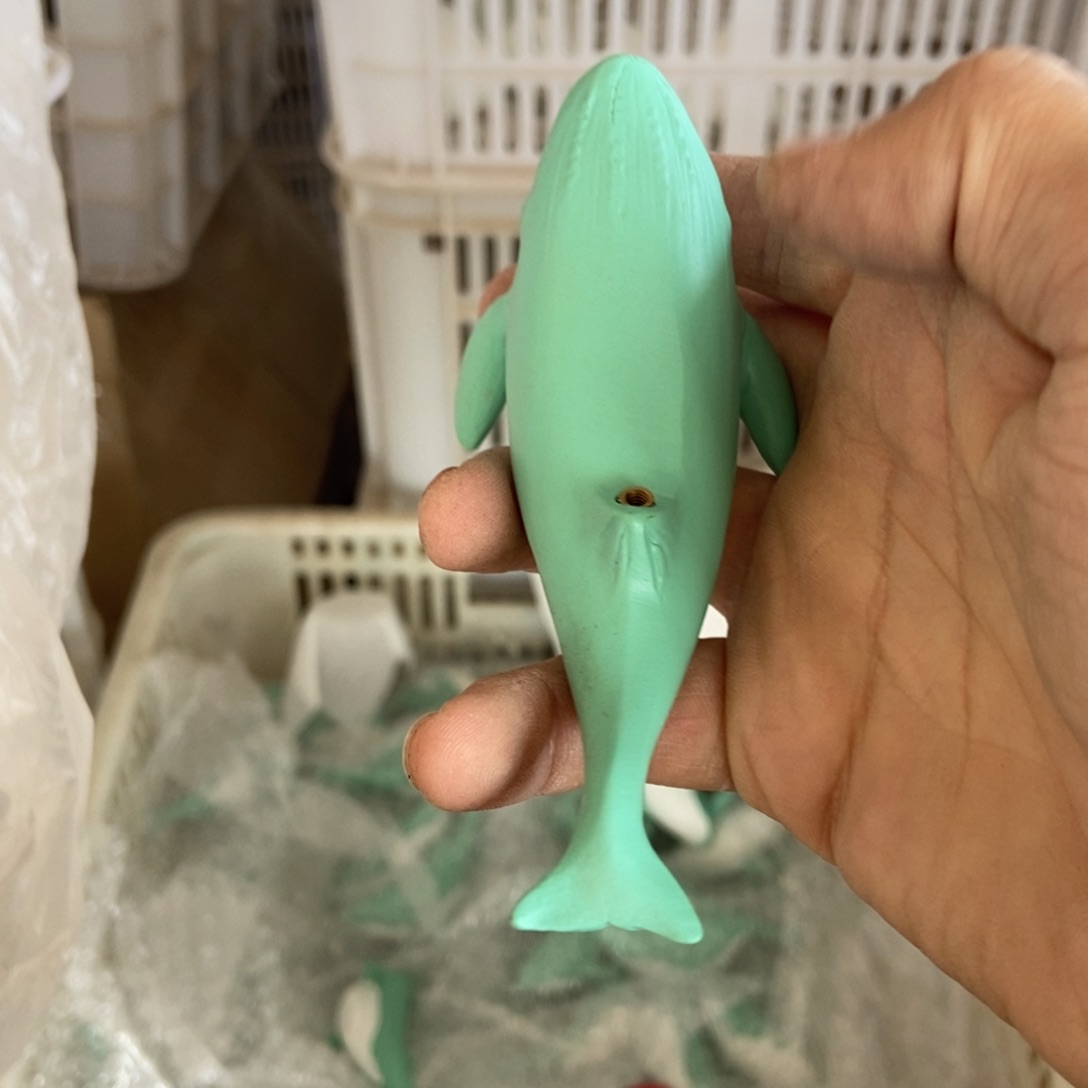 杯直播链接直播链接