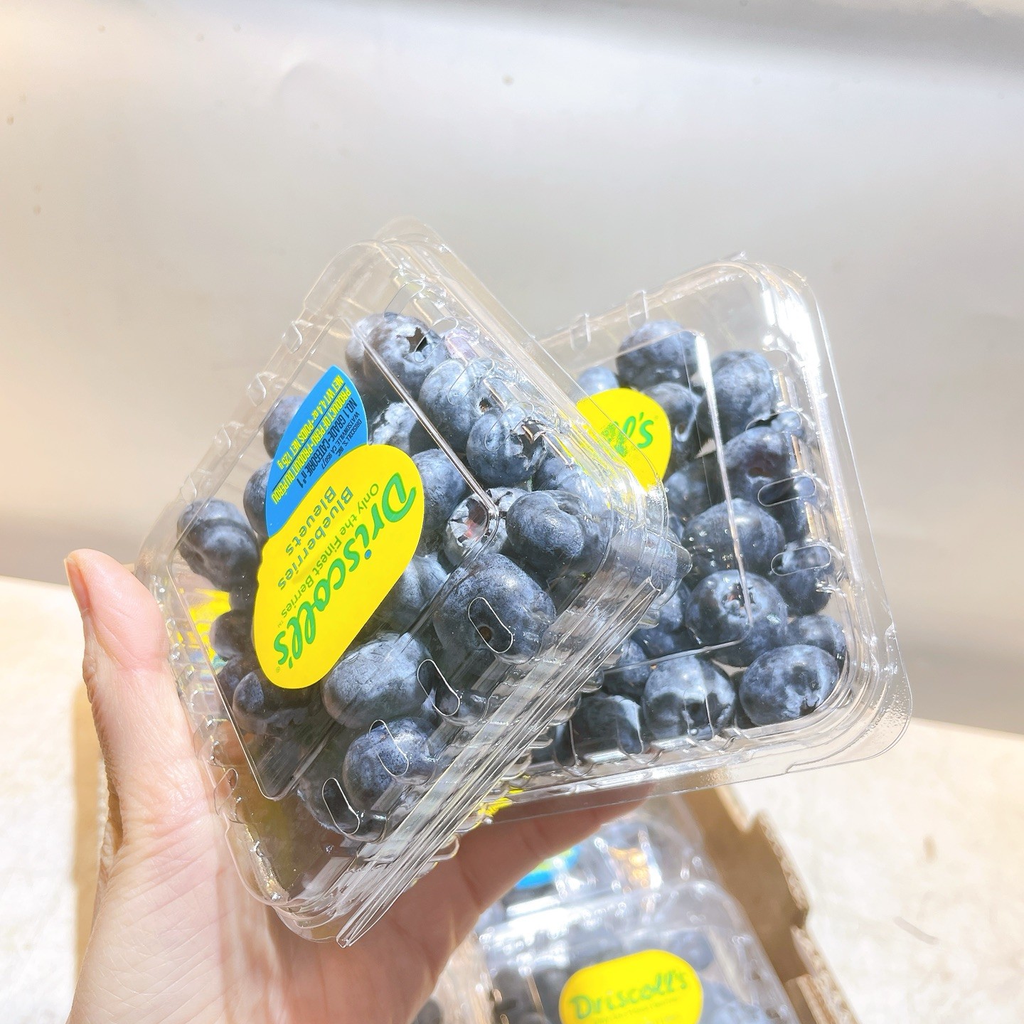 蓝莓，一份4盒分装，吉林省