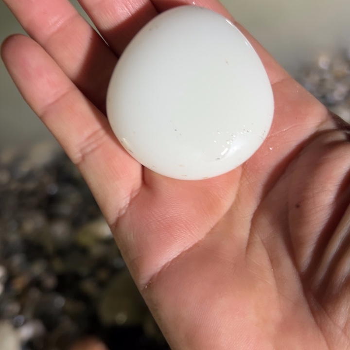 和田玉（糖玉）未镶嵌珠宝奇石