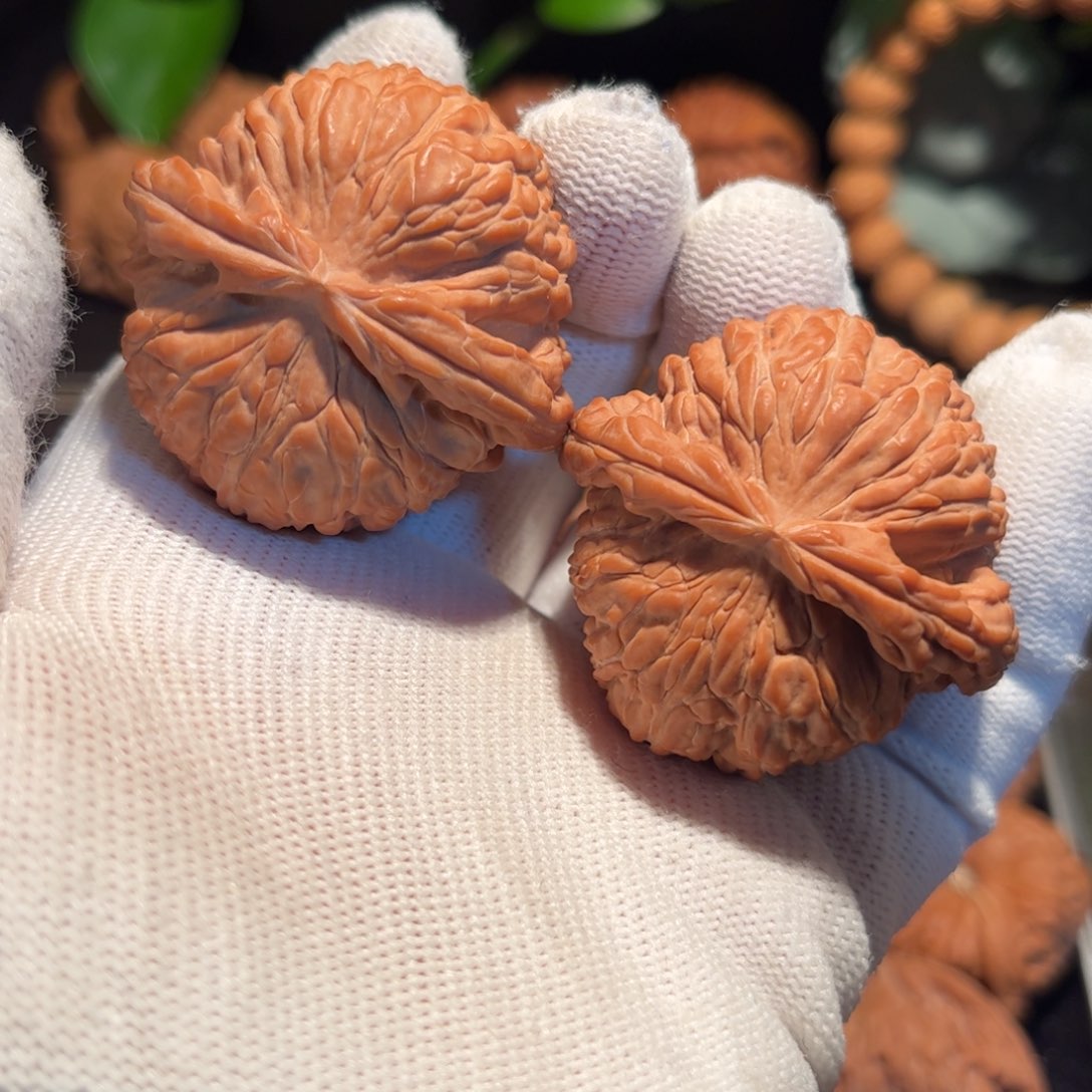 【闪购商品】文玩核桃把件视频大白全品44