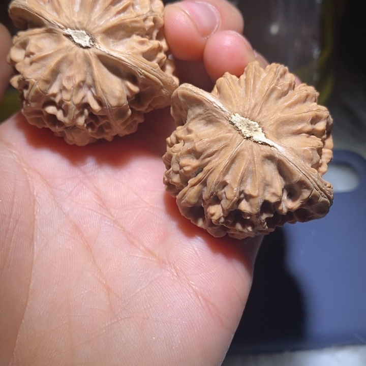 胡***图文玩核桃吊坠精品课程建设和课程体系的