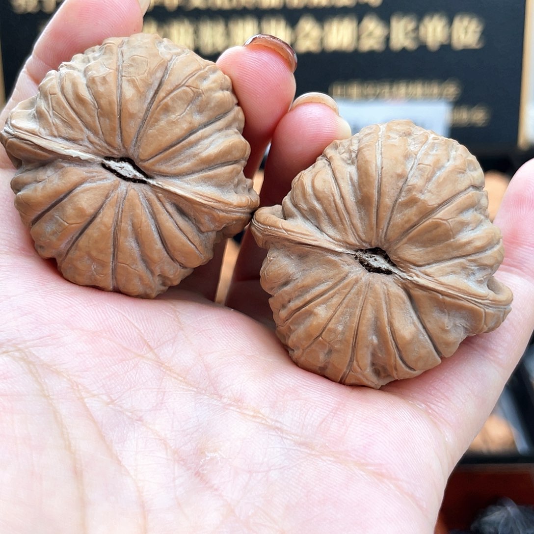 把件文玩核桃42毕业级正圆放射纹➕近正肩42s8