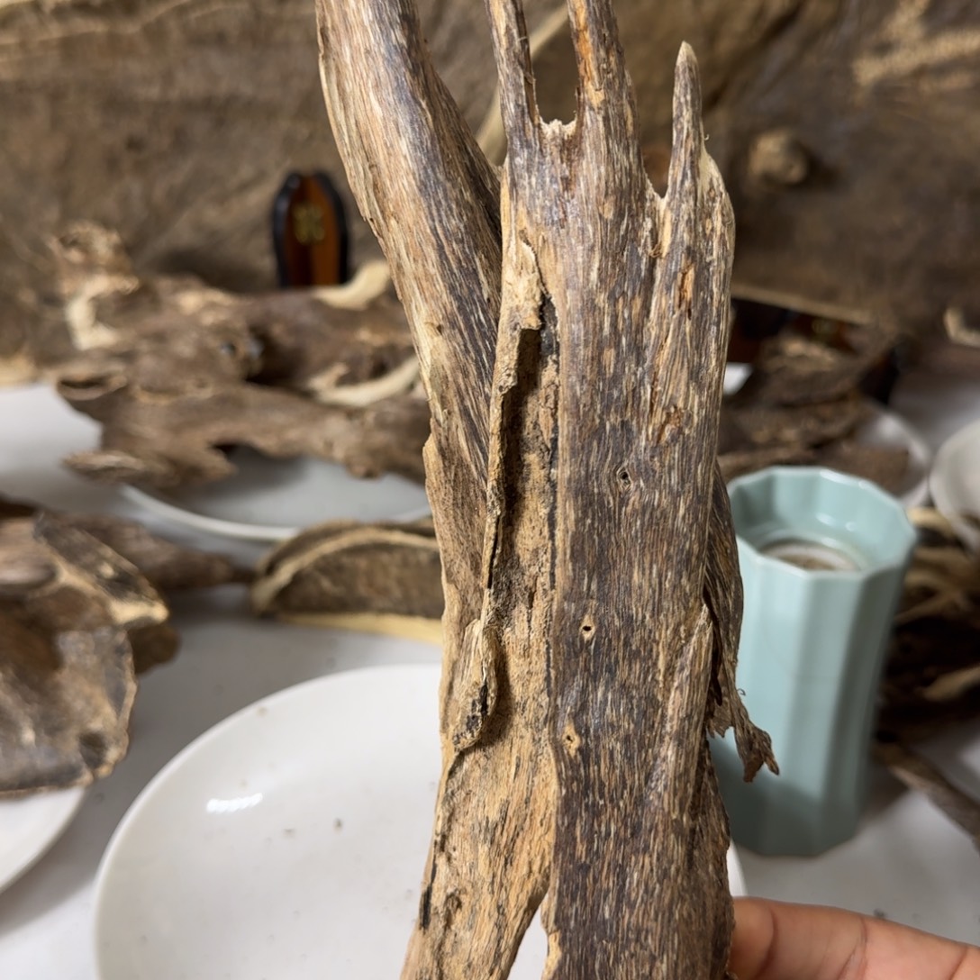 沉香碎屑沉香海南地下格树根52克