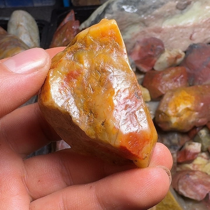 有***年寿山石寿山石的种类