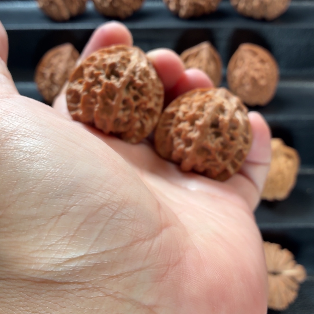 桃核把件山地一代老苹果41