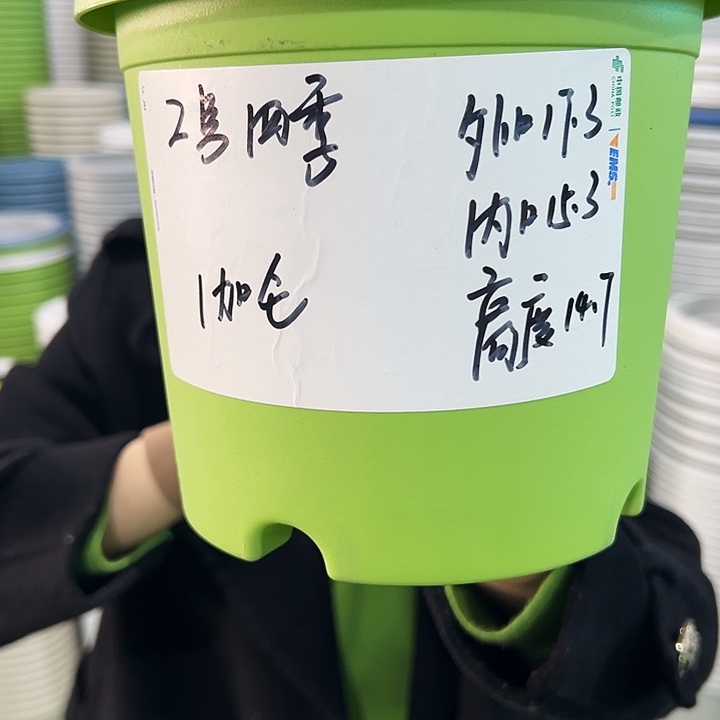 特价2号四季口17高14米色10个无托