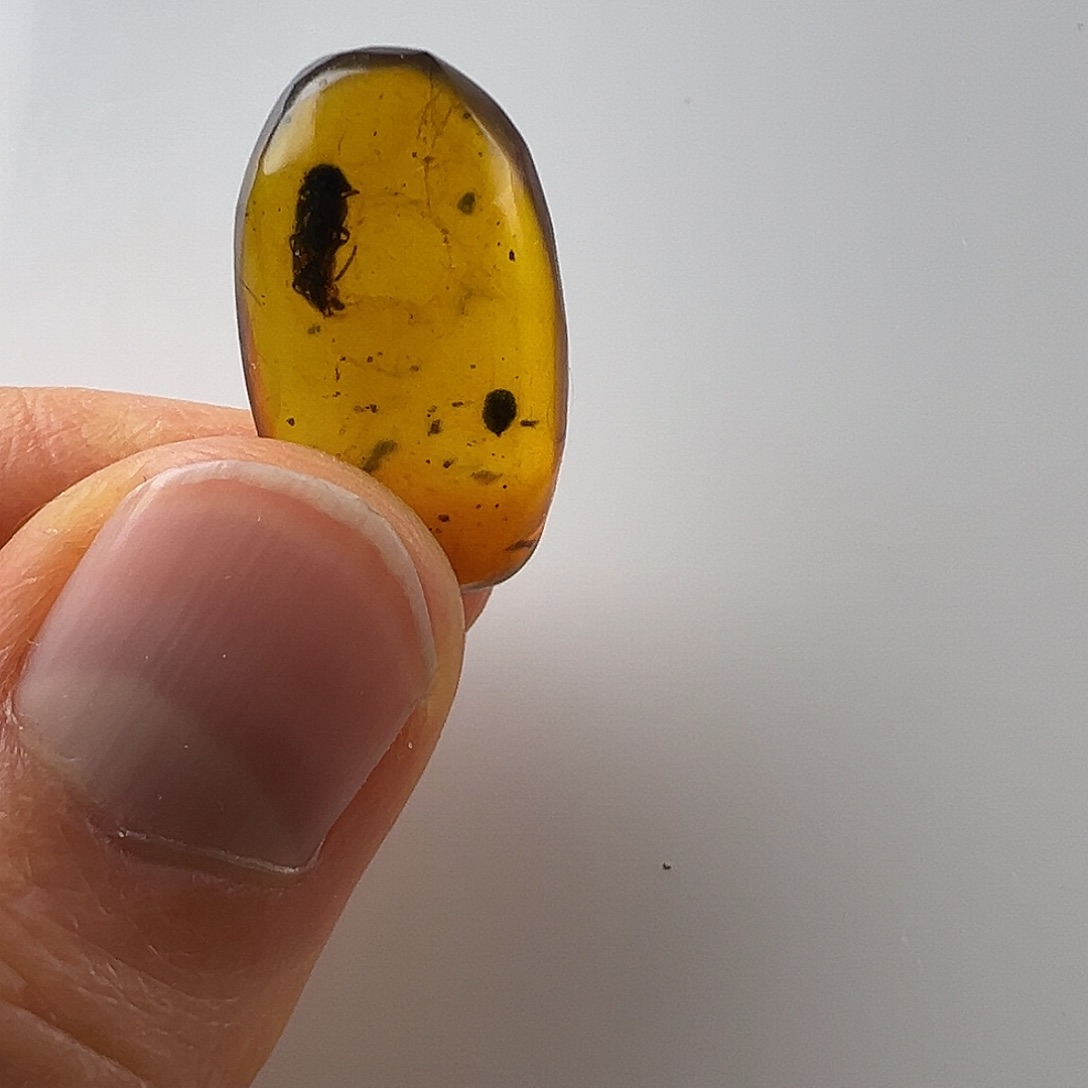 琥珀裸石未镶嵌琥珀虫珀