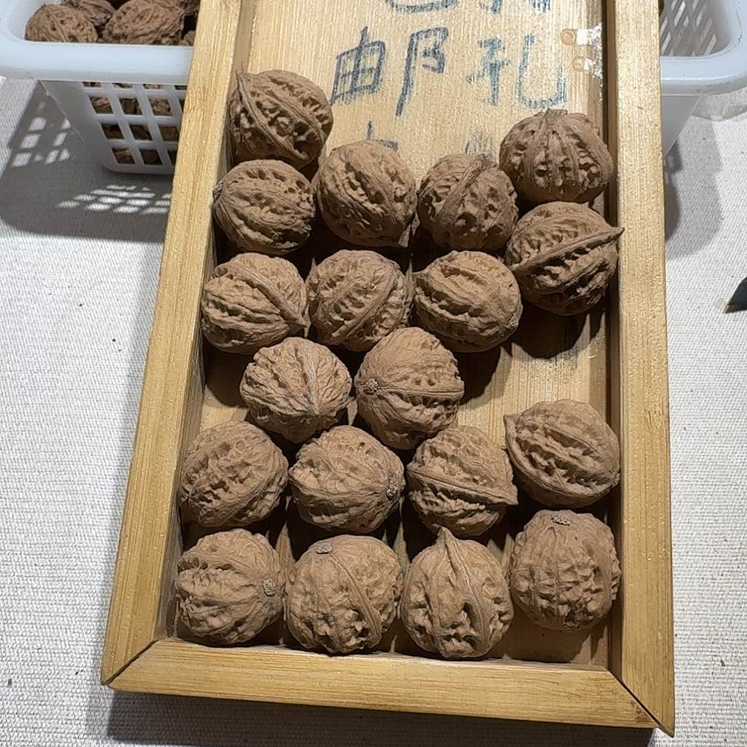 核桃手串/手链22号边22手持