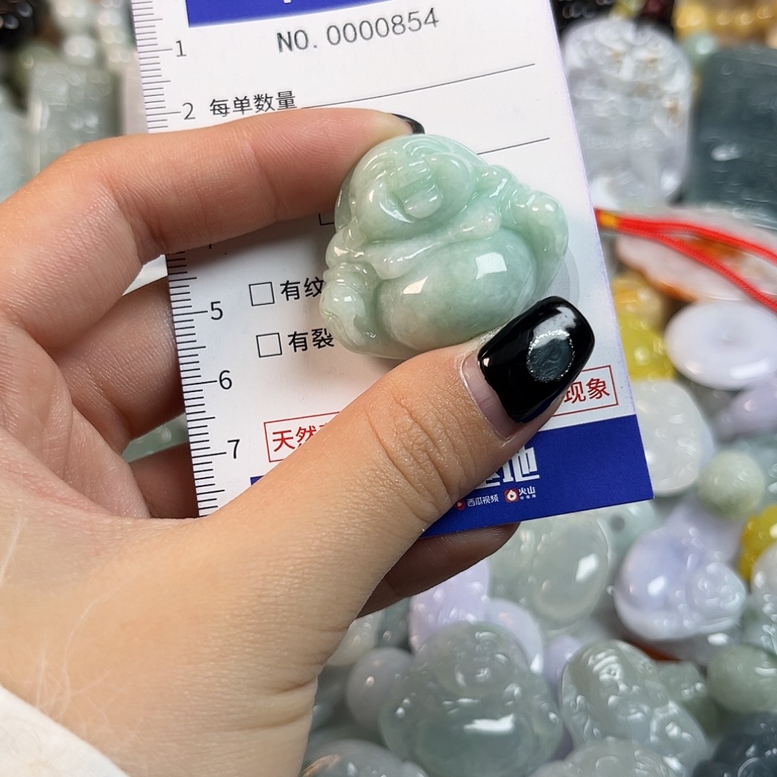 翡翠未镶嵌颈饰854