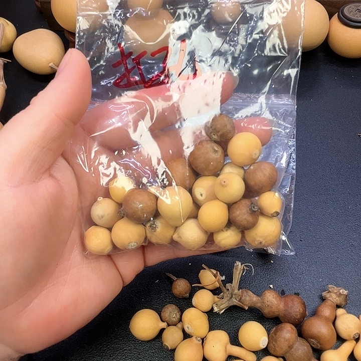 張**r葫芦葫芦葫芦呼救葫芦