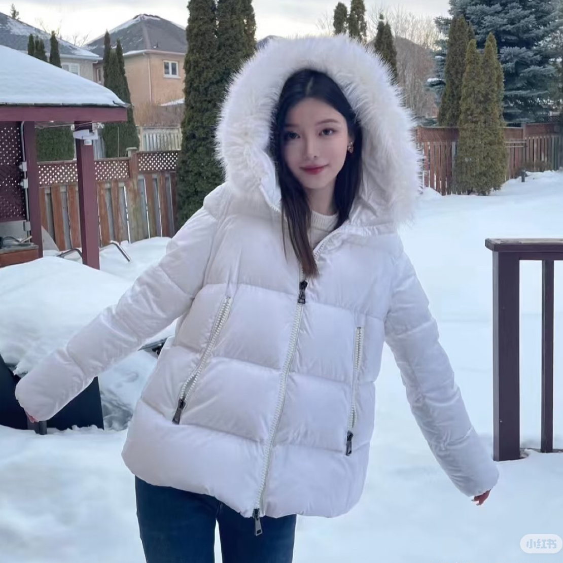 99新 MONCLER CZF2254/连帽款羽绒服/尺码2码