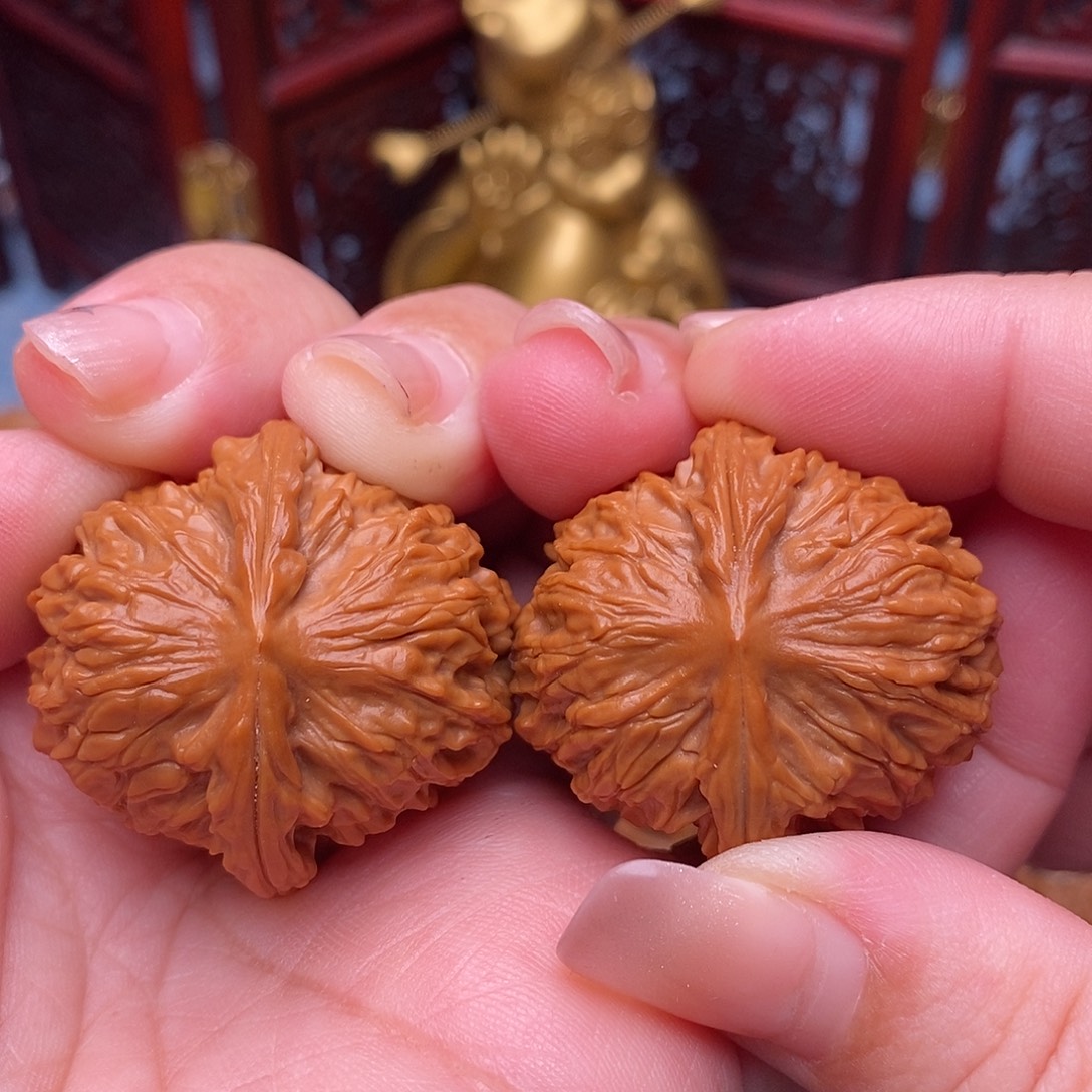 习***单文玩核桃把件34全红豆