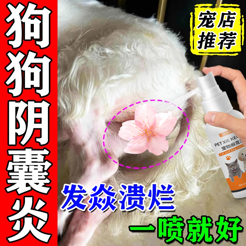 狗狗阴囊炎专用狗蛋蛋屁股蹭地红肿发炎流脓溃烂脱皮瘙痒肖焱喷雾