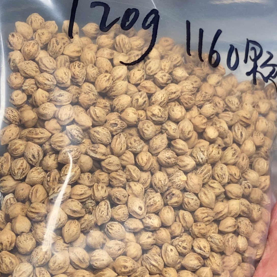 吊坠柏香籽/百香籽