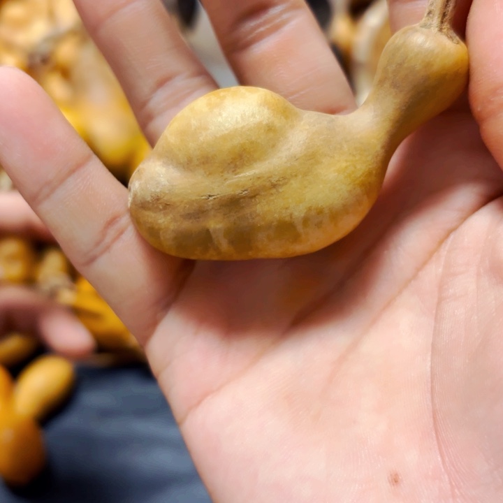 小***）888888888888888888