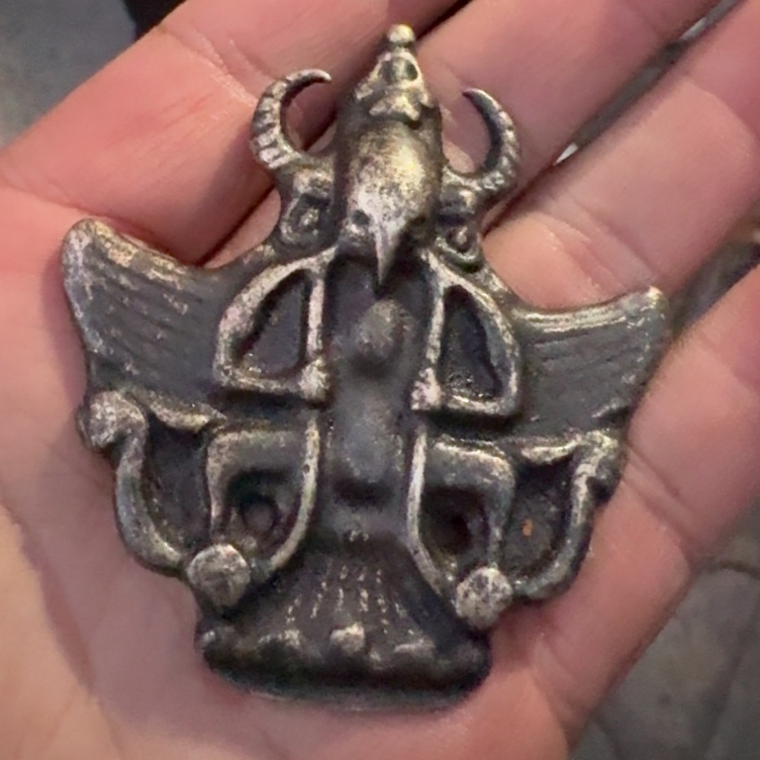 大鹏鸟喜欢带回家