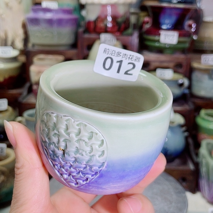 狼盆内口径6高度6