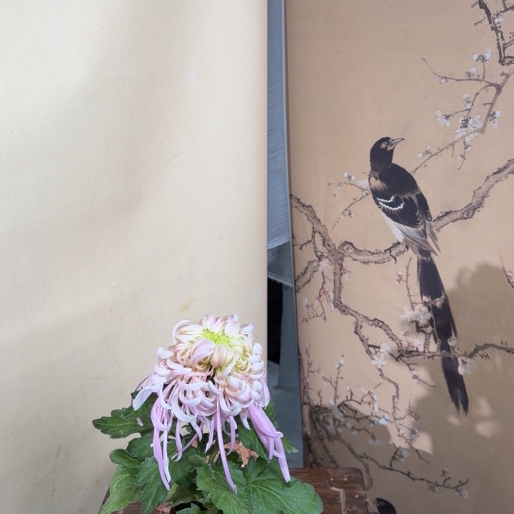 完全开放D88888888