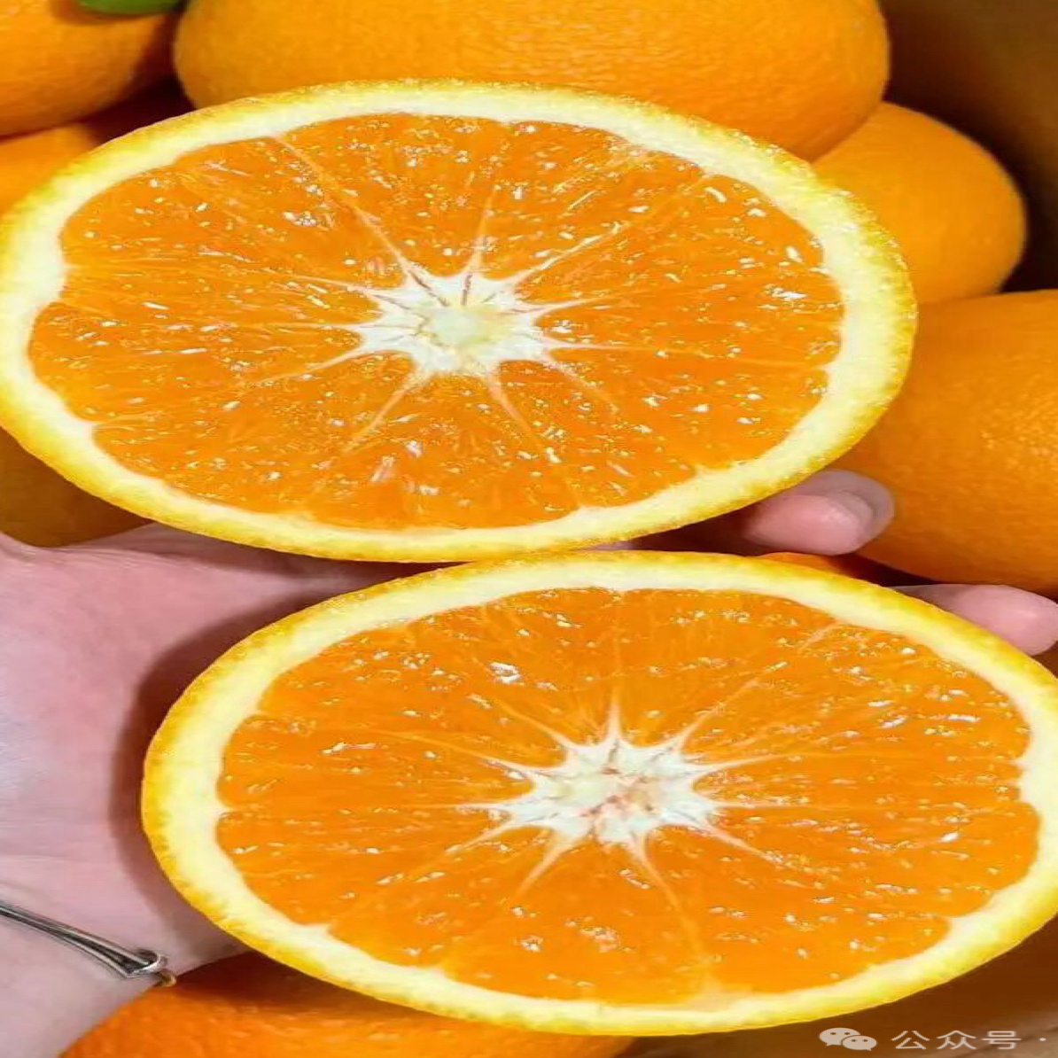 【恋果果业】赣南脐橙5斤