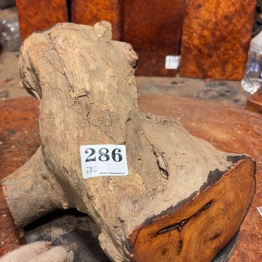 风***大果紫檀（缅甸花梨）