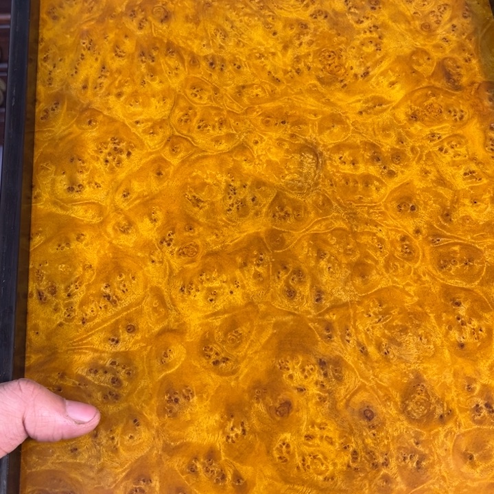 木黄金樟留疤超大托盘