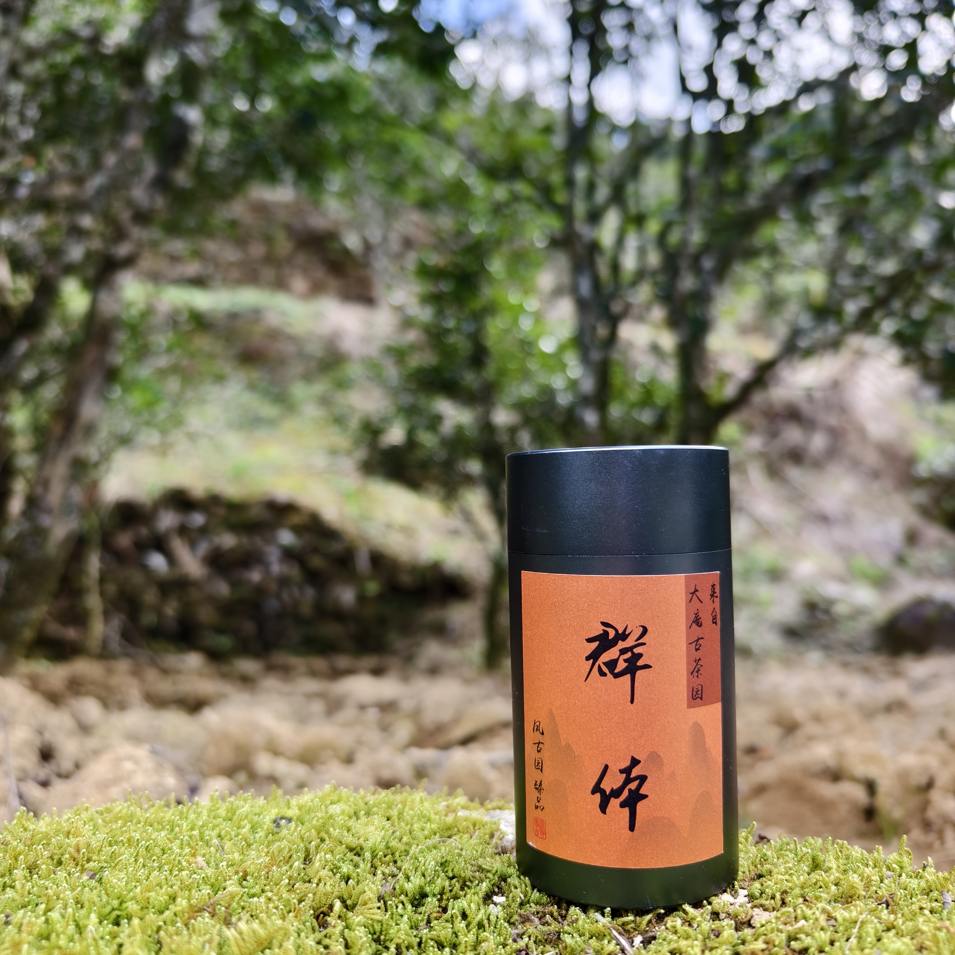 大庵｜老枞群体 桂花蜜香混着山野韵 回甘明显 凤凰单枞 乌龙茶  