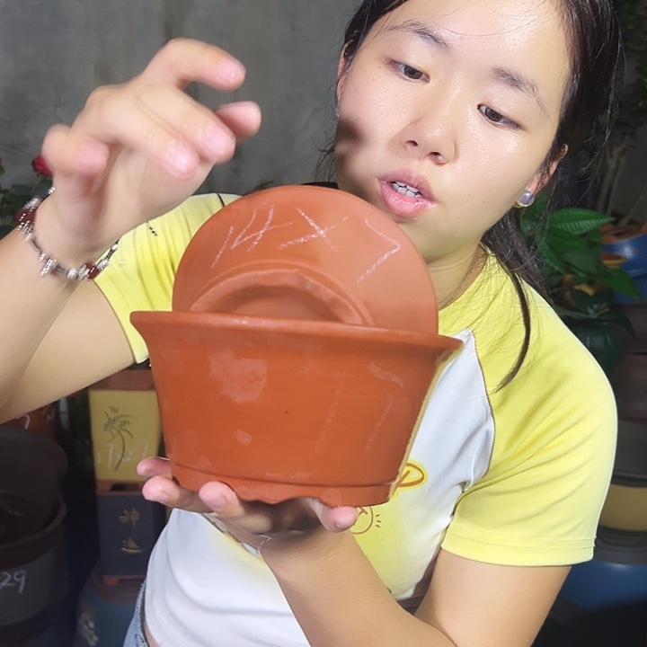 红泥碗盆中小一对